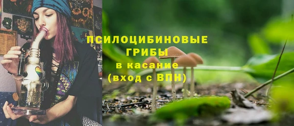 тгк Богородицк